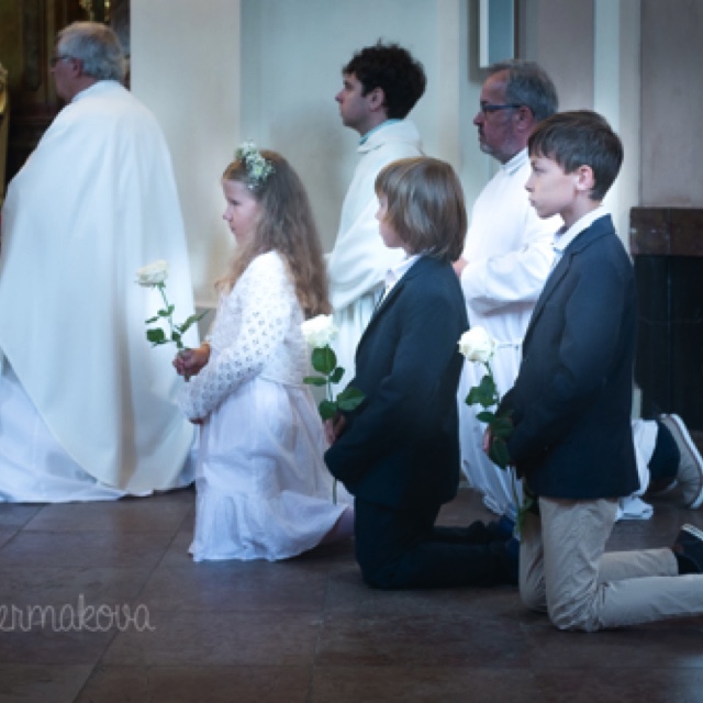 bile pozadi-0157.jpeg bile pozadi-0157.jpeg